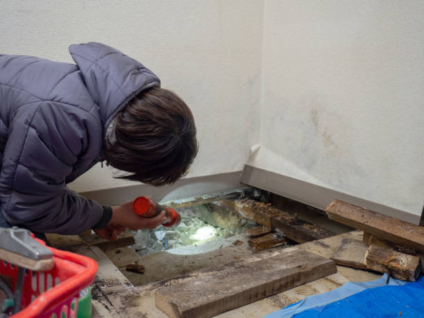 Best Biohazard Mold Removal  in Aliso Viejo, CA