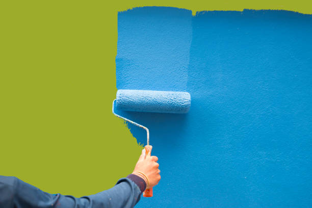 Best Attic Mold Removal  in Aliso Viejo, CA